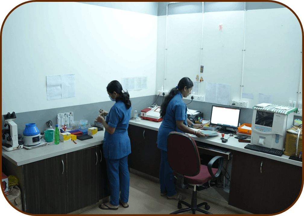 Diagnostic Centre Kattappana
